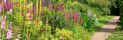 Jardin terrasse