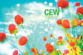 Le CEW décerne quatre Achiever Awards