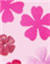 Dossier customisation