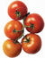 Cultiver des tomates
