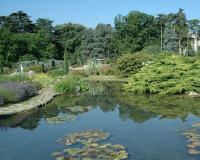 Bassin