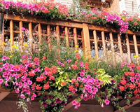 Balcon fleuri