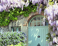 Glycine