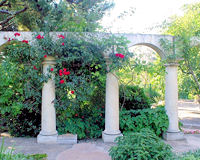 Plantes grimpantes