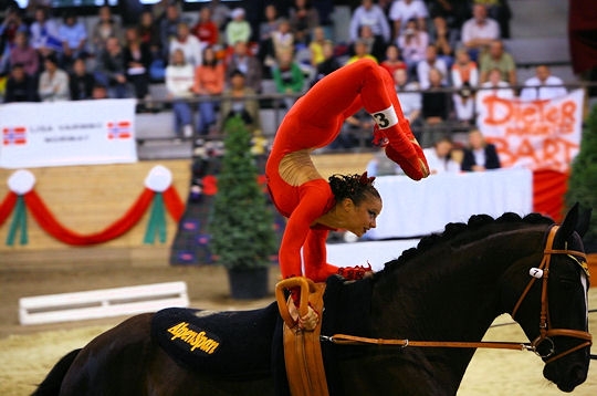 Acrobaties a�riennes avec un cheval