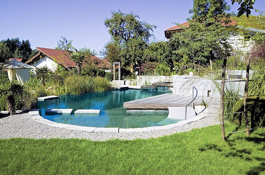 Piscines naturelles : un plongeon dans l'harmonie