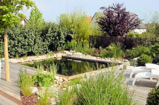 Carr� de nature