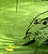 Lentille d'eau