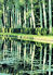 Le jardin se jette &agrave; l'eau