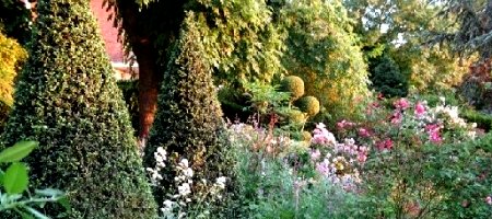 Jardin