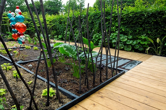 Le jardin de corail