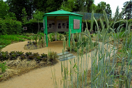 Cocagne de jardin