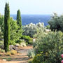 Un jardin cors&eacute; en M&eacute;diterran&eacute;e