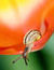 On se met tous au jardinage bio ! 