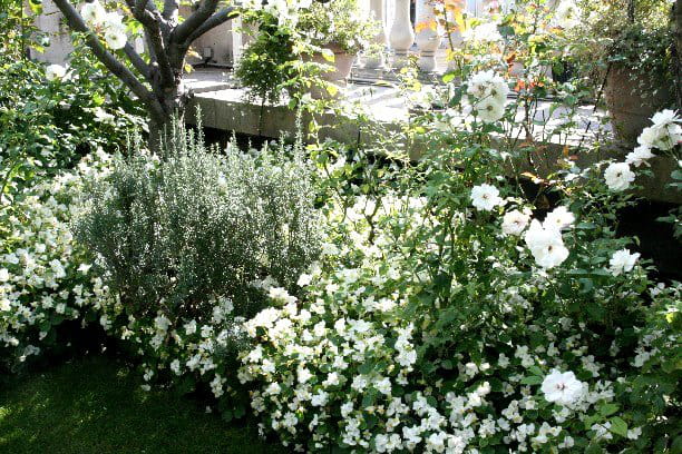 un jardin blanc