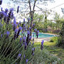 Visitez le jardin de Marie 