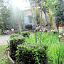 Visitez le jardin de Viviane 