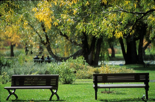 Les jardins du monde r�unis en un seul lieu