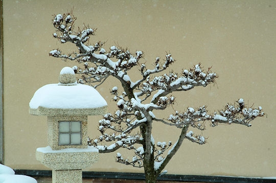 L'hiver