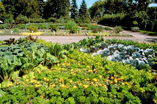 Le Jardin des plantes �conomiques