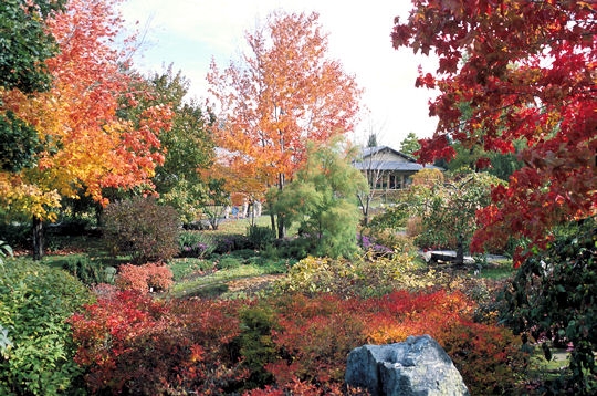 L'automne
