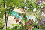 Piscines naturelles