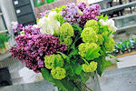 Bouquet de printemps 