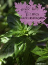 Le grand livre des plantes aromatiques