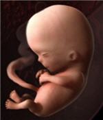 description br�ve de l'image