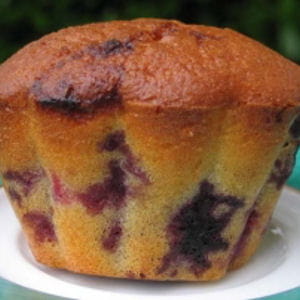 de bons muffins aux fruits rouges. 