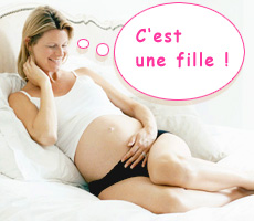 description br�ve de l'image