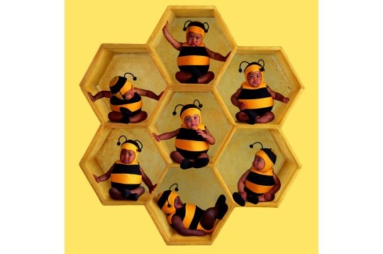 Ruche de bébés-abeilles