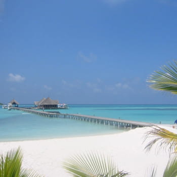maldives 350