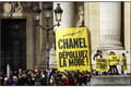 Fashion week Paris : Greenpeace VS Chanel : le fashion duel